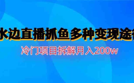 水边直播抓鱼多种变现途径冷门项目月入200w拆解(深度解析“水边直播抓鱼”项目及其多元化变现策略)