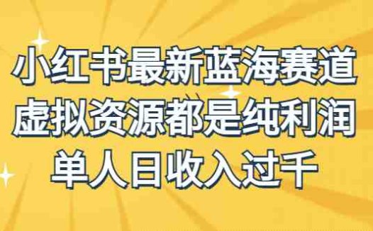 外面收费1980的小红书最新蓝海赛道，虚拟资源都是纯利润，单人日收入过千(探索小红书最新蓝海赛道，实现虚拟资源纯利润变现)