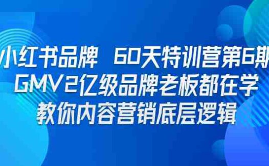 小红书品牌 60天特训营第6期 GMV2亿级品牌老板都在学 教你内容营销底层逻辑(小红书品牌60天特训营第6期全面掌握内容营销底层逻辑)