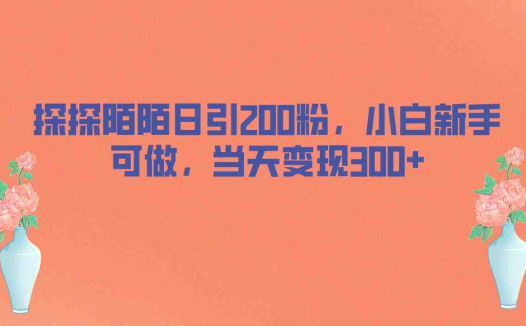 探探陌陌日引200粉，小白新手可做，当天就能变现300+(探探陌陌引流男性粉丝的快速变现策略)