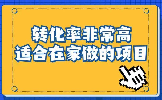 小红书虚拟电商项目：从小白到精英（视频课程+交付手册）(揭秘小红书虚拟电商低成本高利润的赚钱之道)