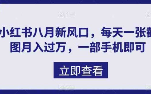 八月新风口，小红书虚拟项目一天收入1000+，实战揭秘(揭秘小红书虚拟项目如何利用信息差实现日入1000+)