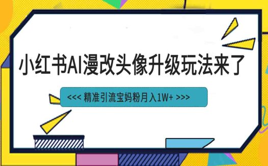 小红书最新AI漫改头像项目，精准引流宝妈粉，月入1w+(小红书AI漫改头像项目低成本制作，月入1w+)