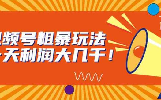 视频号粗暴玩法，一天利润大几千！(视频号粗暴玩法简单操作，当天见效！)