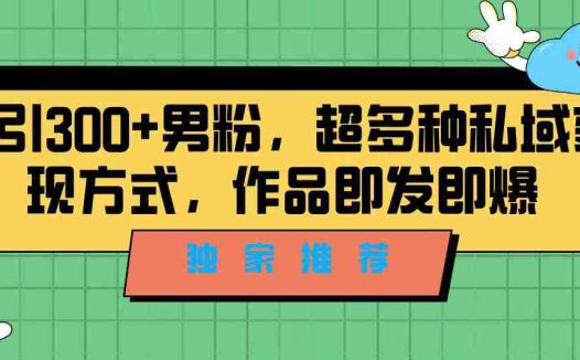 独家推荐！日引300+男粉，超多种私域变现方式，作品即发即报(全新项目课程精准引流男粉，美女跳舞视频制作与变现指南)
