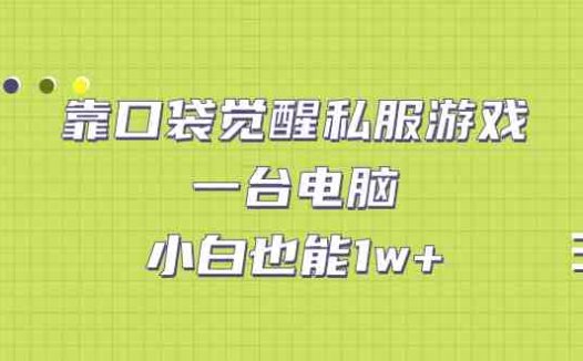 靠口袋觉醒私服游戏,一台电脑,小白也能1w+(教程+工具+资料)