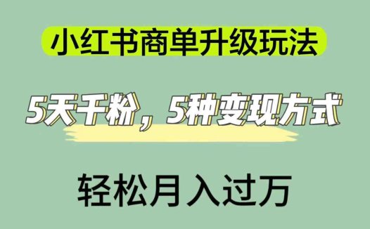 小红书商单升级玩法，5天千粉，5种变现渠道，轻松月入1万+(小红书商单升级攻略5天千粉，5种变现渠道助你轻松月入过万)