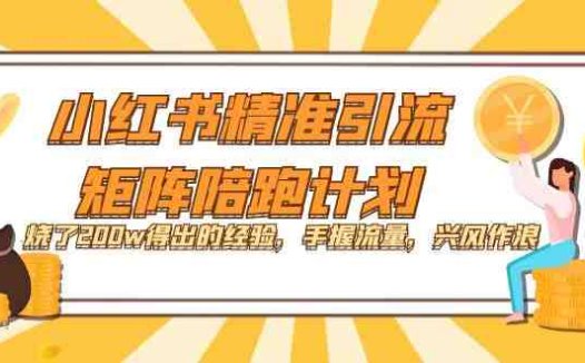 小红书精准引流·矩阵陪跑计划：烧了200w得出的经验，手握流量，兴风作浪！(小红书精准引流·矩阵陪跑计划从0到1玩转小红书引流)