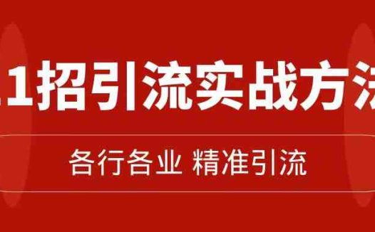 精准引流术：11招引流实战方法，让你私域流量加到爆（11节课完整版）(精准引流术11招实战方法助你私域流量爆棚)