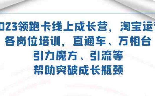 2023领跑·卡 线上成长营 淘宝运营各岗位培训 直通车 万相台 引力魔方 引流(2023领跑·卡线上成长营淘宝运营各岗位培训课程一览)