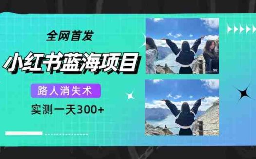 全网首发，小红书蓝海项目，路人消失术，实测一天300+（教程+工具）(探索小红书蓝海项目路人消失术助力社交媒体照片美化)