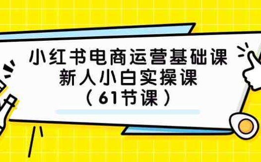 小红书电商运营基础课，新人小白实操课（61节课）(全面掌握小红书电商运营基础，从新手到高手的实操指南)