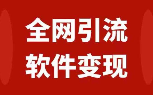 全网引流，软件虚拟资源变现项目，日入1000＋(全面解析全网引流与软件虚拟资源变现项目)