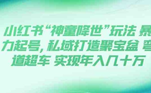 小红书“神童降世”玩法 暴力起号,私域打造聚宝盆 弯道超车 实现年入几十万(《小红书“神童降世”玩法》暴力起号，私域打造聚宝盆，实现年入几十万)