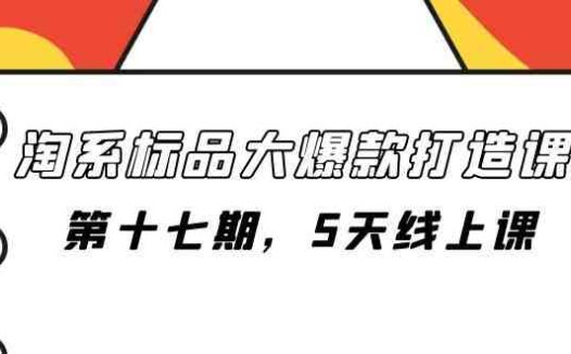 淘系标品大爆款打造课-第十七期，5天线上课(淘系标品大爆款打造课-第十七期，5天线上课详解)