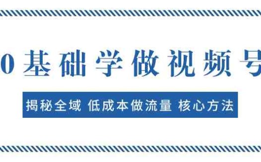 0基础学做视频号：揭秘全域 低成本做流量 核心方法  快速出爆款 轻松变现(全域低成本做流量视频号制作与变现指南)