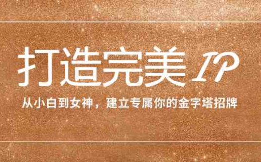 打造完美IP:从小白到女神,建立专属你的金字塔招牌(15节课)(从内在到外在,全方位打造个人品牌影响力)