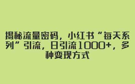 揭秘流量密码，小红书“每天系列”引流，日引流1000+，多种变现方式(小红书爆款流量玩法揭秘极速引爆私域，每日引流1000+)