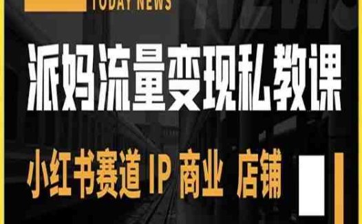 派妈流量变现私教课，小红书赛道IP  商业  店铺(派妈流量变现私教课全面解析小红书赛道IP商业店铺运营策略与技巧)
