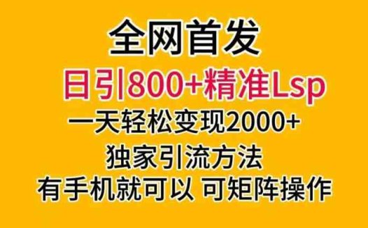 全网首发！日引800+精准老色批，一天变现2000+，独家引流方法，可矩阵操作【揭秘】