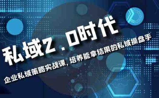 私域-2.0时代:企业私域策略实战课,培养能拿结果的私域操盘手(探索新时代下的企业私域策略实战技巧)
