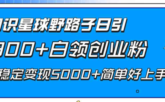 知识星球野路子日引300+白领创业粉，日稳定变现5000+简单好上手！(”知识星球引流与变现实现日稳定收入5000+的实战策略”)