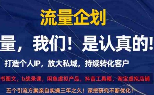 流量企划,打造个人IP,放大私域,持续转化客户【揭秘】(揭秘五大引流策略,助你提升互联网认知)