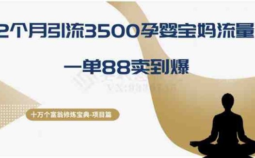 十万个富翁修炼宝典之13.2个月引流3500孕婴宝妈流量,一单88卖到爆(”十万个富翁修炼宝典之13.2个月引流3500孕婴宝妈流量,一单88卖到爆”)