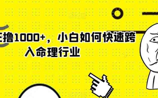 玄学狂撸1000+,小白如何快速跨入命理行业【揭秘】(玄学入门指南小白如何快速成为命理行业专家)
