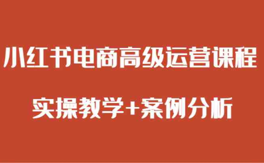 小红书电商高级运营课程 实操教学+案例分析(小红书电商高级运营课程全面解析实操技巧与案例分析)