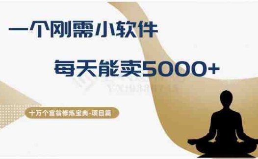 十万个富翁修炼宝典之17.一个刚需小软件,每天能卖5000+(十万个富翁修炼宝典之17揭秘一个每天能卖5000+的小软件项目)