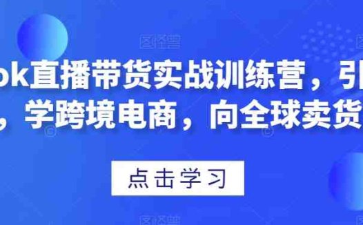 TikTok直播带货实战训练营，引流爆单，学跨境电商，向全球卖货！(全面解析TikTok直播带货实战技巧与策略)
