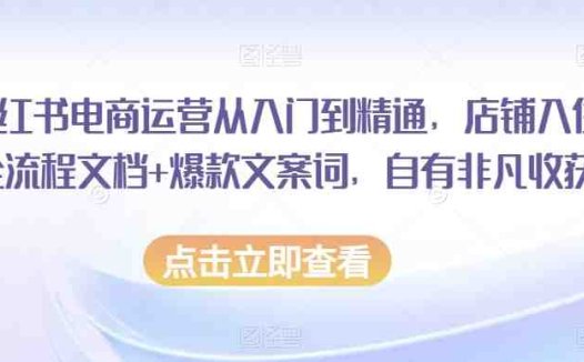 小红书电商运营从入门到精通，店铺入住全流程文档+爆款文案词，自有非凡收获(全面解析小红书电商运营从开店到精通的一站式教程)