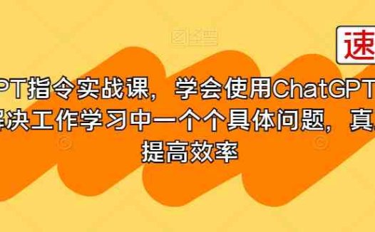GPT指令实战课,学会使用ChatGPT,解决工作学习中一个个具体问题,真正提高效率(全面掌握GPT技能,提升工作效率与竞争力)