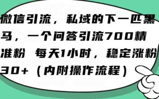 怎么搞精准创业粉?微信新赛道,每天一小时,利用Ai一个问答日引100精准粉