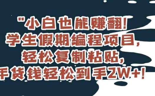 小白也能赚翻!学生假期编程项目,轻松复制粘贴,年货钱轻松到手2W+【揭秘】