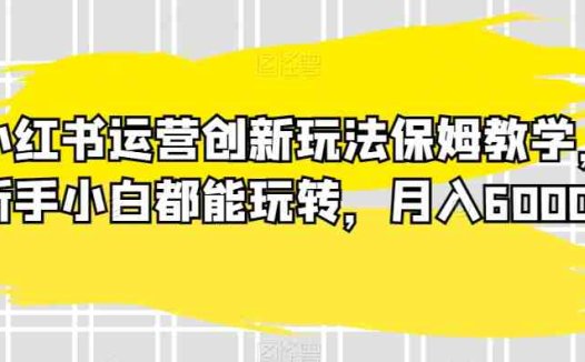 小红书运营创新玩法保姆教学，新手小白都能玩转，月入6000+【揭秘】