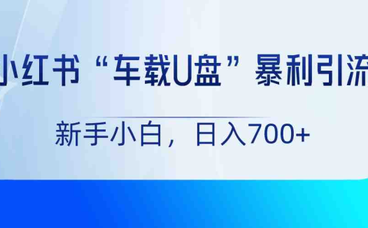 小红书“车载U盘”项目，暴利引流，新手小白轻松日入700+