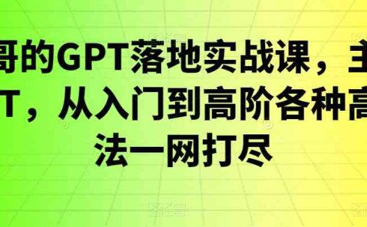 浩哥的GPT落地实战课，主攻GPT，从入门到高阶各种高端法一网打尽