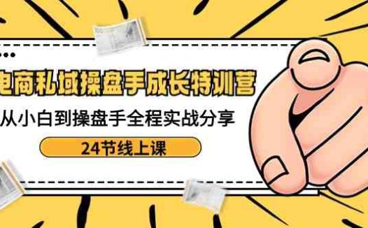 电商私域操盘手成长特训营:从小白到操盘手全程实战分享-24节线上课