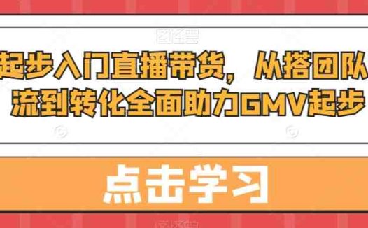 从0起步入门直播带货，​从搭团队到引流到转化全面助力GMV起步(全面解析直播带货从零到一的实战指南)