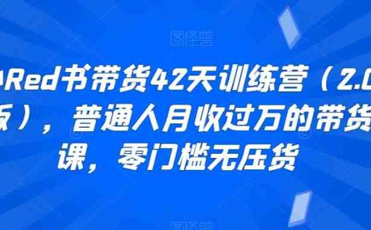 小Red书带货42天训练营（2.0版），普通人月收过万的带货课，零门槛无压货(小Red书带货42天训练营（2.0版）普通人的月入过万带货指南)