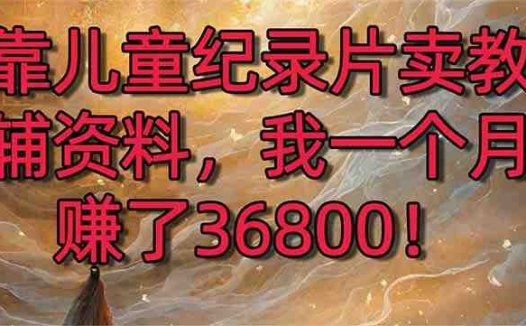 靠儿童纪录片卖教辅资料，一个月赚了36800！暴力变现2.0版本，喂饭级教学