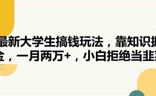 最新大学生搞钱玩法,靠知识掘金,一月两万+,小白拒绝当韭菜