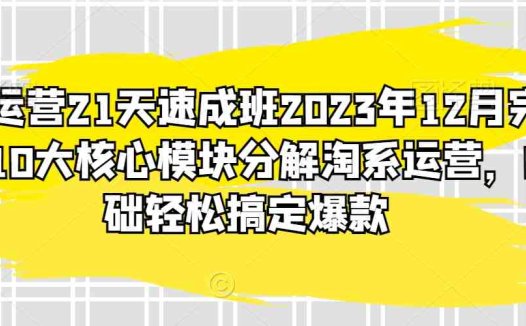 淘系运营21天速成班2023年12月完整版,10大核心模块分解淘系运营,0基础轻松搞定爆款
