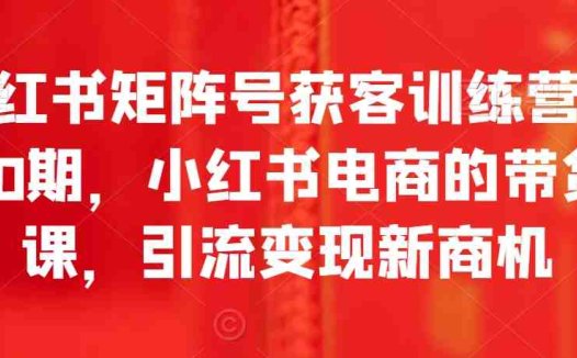 小红书矩阵号获客训练营第10期，小红书电商的带货课，引流变现新商机