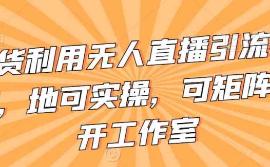 不卖货利用无人直播引流视频教程，地可实操，可矩阵，可开工作室