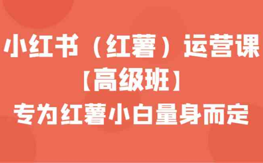 小红书（红薯）运营课【高级班】，专为红薯小白量身而定（42节课）