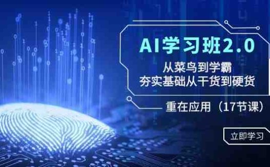 AI学习班2.0:从菜鸟到学霸,夯实基础从干货到硬货,重在应用(17节课)