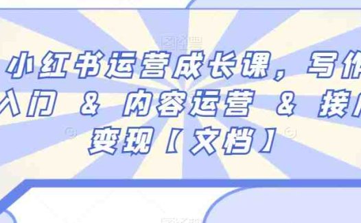 小红书运营成长课，写作入门&内容运营&接广变现【文档】